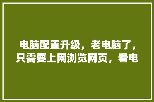 电脑配置升级，老电脑了，只需要上网浏览网页，看电视不卡就行，请问需要更换哪些配置_老式电脑怎么看配置参数