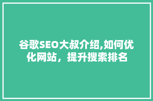 谷歌SEO大叔介绍,如何优化网站，提升搜索排名 谷歌SEO大叔介绍,如何优化网站，提升搜索排名 编程语言