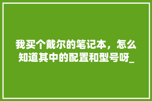 我买个戴尔的笔记本，怎么知道其中的配置和型号呀_怎么看dell电脑型号配置参数