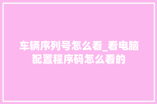 车辆序列号怎么看_看电脑配置程序码怎么看的