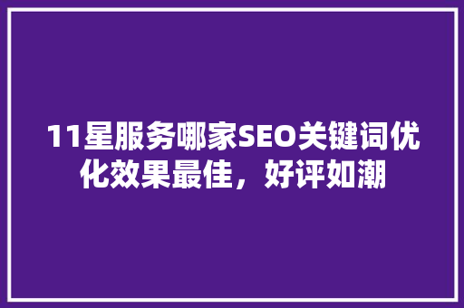 11星服务哪家SEO关键词优化效果最佳，好评如潮