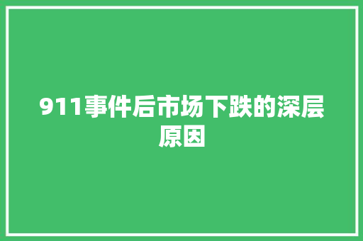911事件后市场下跌的深层原因