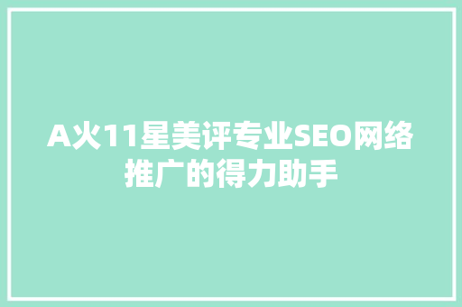A火11星美评专业SEO网络推广的得力助手