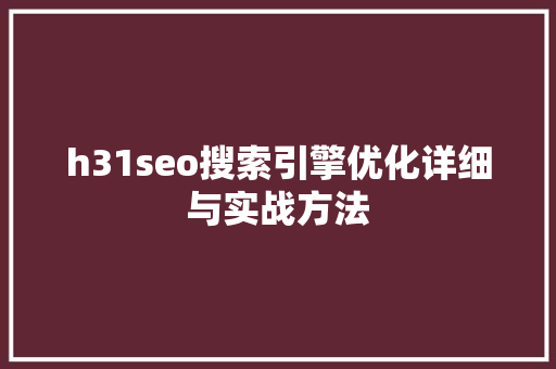 h31seo搜索引擎优化详细与实战方法