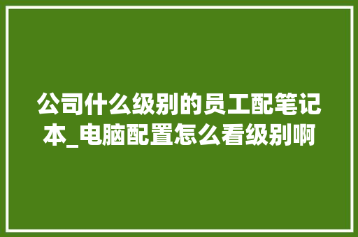 公司什么级别的员工配笔记本_电脑配置怎么看级别啊