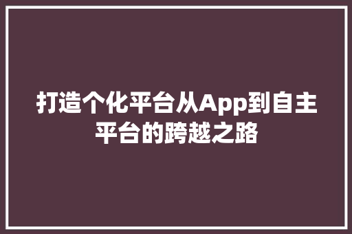 打造个化平台从App到自主平台的跨越之路