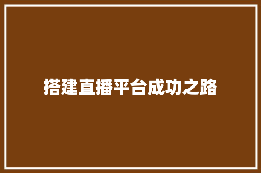 搭建直播平台成功之路