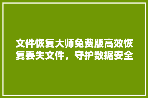 文件恢复大师免费版高效恢复丢失文件，守护数据安全 操作系统