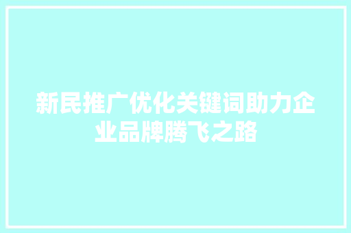新民推广优化关键词助力企业品牌腾飞之路