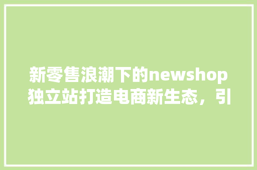 新零售浪潮下的newshop独立站打造电商新生态，引领行业发展