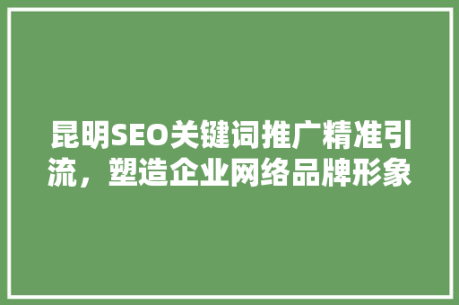 昆明SEO关键词推广精准引流，塑造企业网络品牌形象,年度