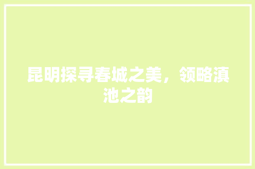 昆明探寻春城之美，领略滇池之韵 电脑基础