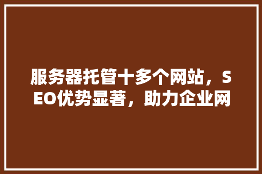服务器托管十多个网站，SEO优势显著，助力企业网站优化