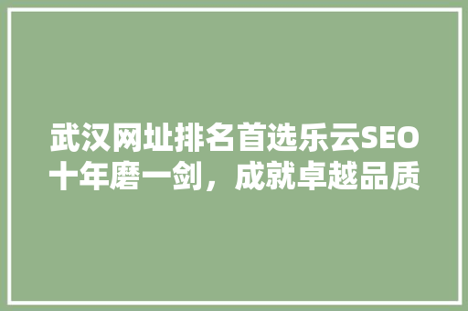 武汉网址排名首选乐云SEO十年磨一剑，成就卓越品质