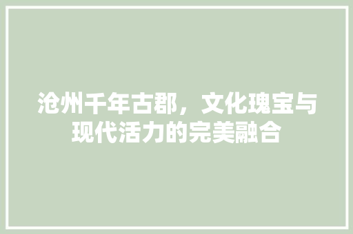 沧州千年古郡，文化瑰宝与现代活力的完美融合