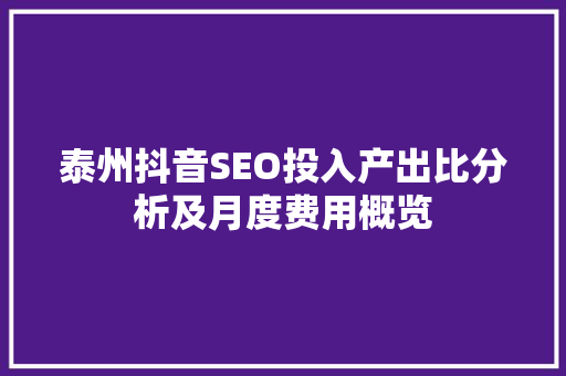 泰州抖音SEO投入产出比分析及月度费用概览