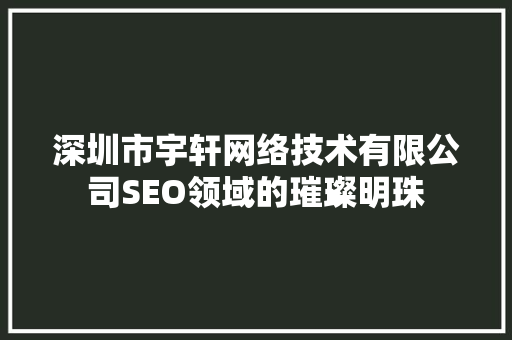 深圳市宇轩网络技术有限公司SEO领域的璀璨明珠