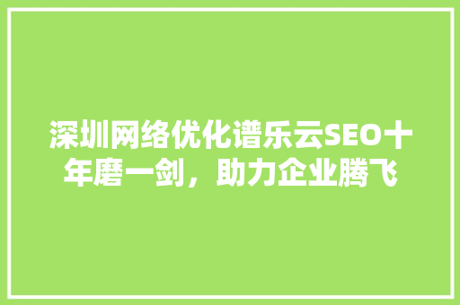 深圳网络优化谱乐云SEO十年磨一剑，助力企业腾飞