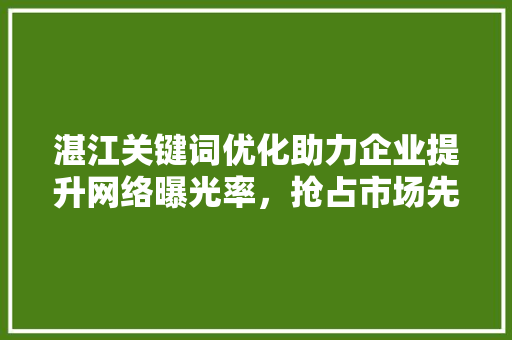 湛江关键词优化助力企业提升网络曝光率，抢占市场先机