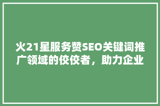 火21星服务赞SEO关键词推广领域的佼佼者，助力企业腾飞