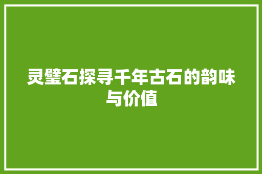 灵璧石探寻千年古石的韵味与价值