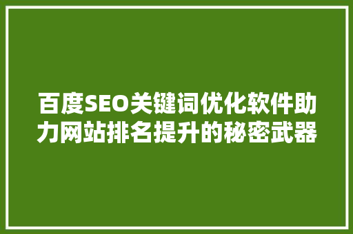 百度SEO关键词优化软件助力网站排名提升的秘密武器 百度SEO关键词优化软件助力网站排名提升的秘密武器