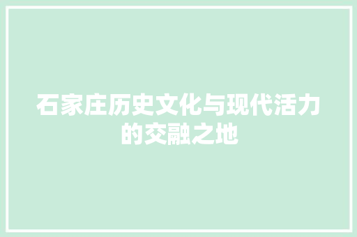 石家庄历史文化与现代活力的交融之地 编程语言