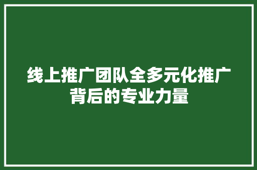 线上推广团队全多元化推广背后的专业力量