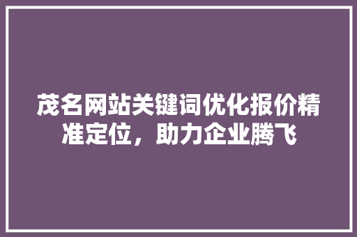 茂名网站关键词优化报价精准定位，助力企业腾飞