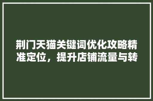荆门天猫关键词优化攻略精准定位，提升店铺流量与转化率