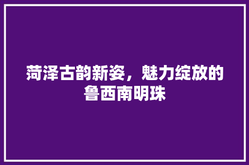 菏泽古韵新姿，魅力绽放的鲁西南明珠 电脑配置