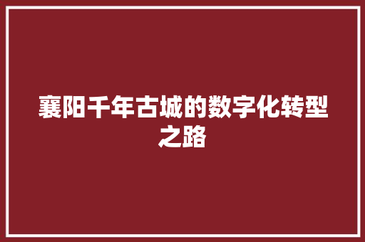 襄阳千年古城的数字化转型之路