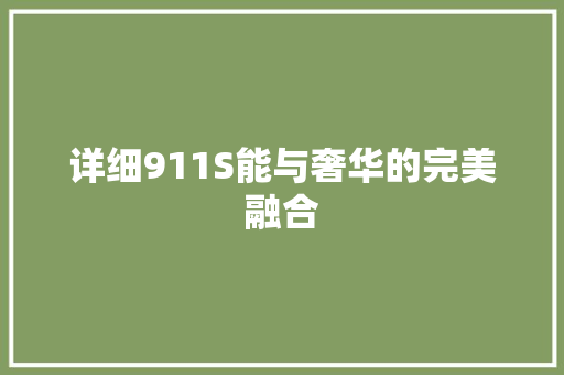 详细911S能与奢华的完美融合