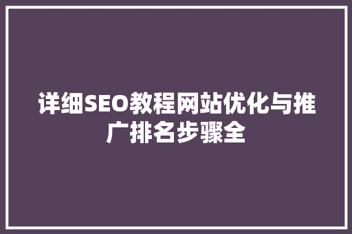 详细SEO教程网站优化与推广排名步骤全