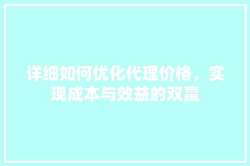 详细如何优化代理价格，实现成本与效益的双赢