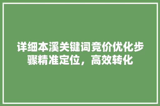 详细本溪关键词竞价优化步骤精准定位,高效转化 详细本溪关键词竞价优化步骤精准定位,高效转化