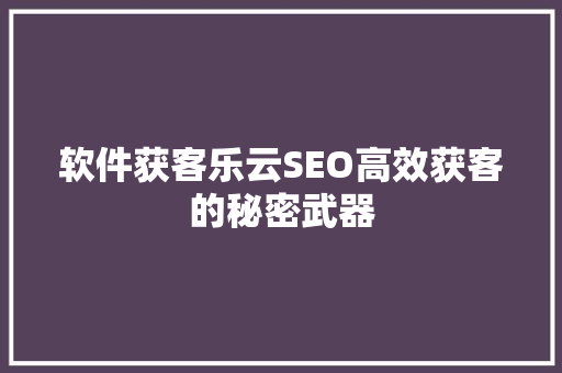 软件获客乐云SEO高效获客的秘密武器