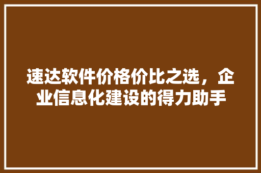速达软件价格价比之选,企业信息化建设的得力助手 速达软件价格价比之选,企业信息化建设的得力助手