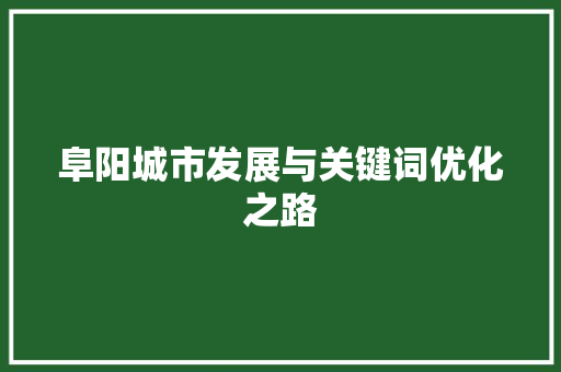 阜阳城市发展与关键词优化之路