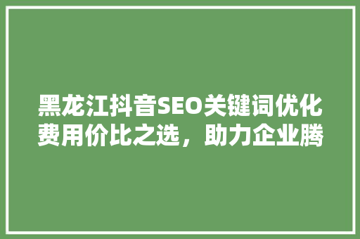 黑龙江抖音SEO关键词优化费用价比之选，助力企业腾飞