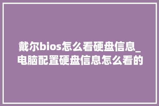 戴尔bios怎么看硬盘信息_电脑配置硬盘信息怎么看的