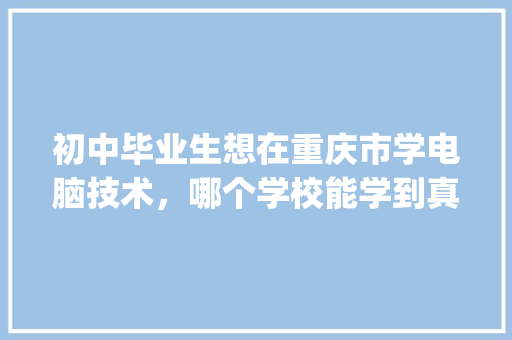 初中毕业生想在重庆市学电脑技术，哪个学校能学到真技术_重庆电脑培训班零基础