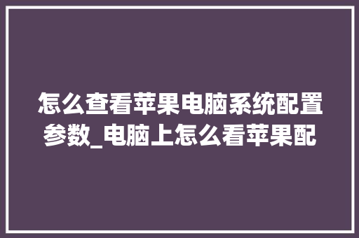 怎么查看苹果电脑系统配置参数_电脑上怎么看苹果配置参数