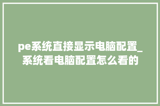 pe系统直接显示电脑配置_系统看电脑配置怎么看的
