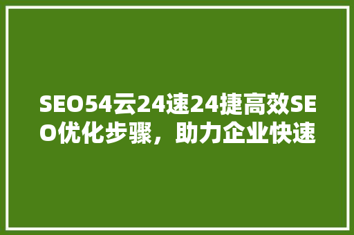 SEO54云24速24捷高效SEO优化步骤，助力企业快速提升网站排名