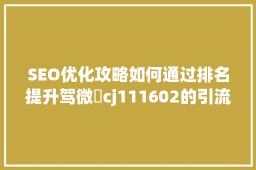 SEO优化攻略如何通过排名提升驾微鈊cj111602的引流效果