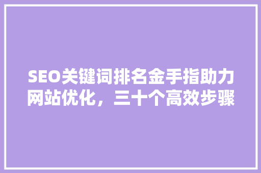 SEO关键词排名金手指助力网站优化，三十个高效步骤