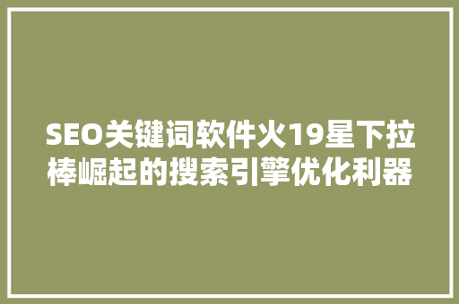SEO关键词软件火19星下拉棒崛起的搜索引擎优化利器