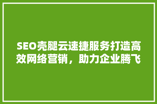 SEO壳腿云速捷服务打造高效网络营销，助力企业腾飞