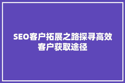 SEO客户拓展之路探寻高效客户获取途径